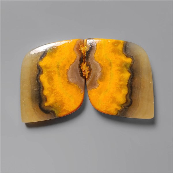 Bumble Bee Jasper
