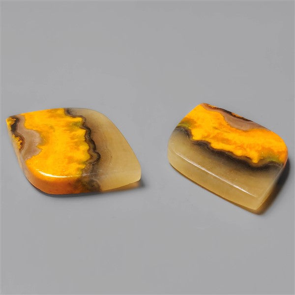 Bumble Bee Jasper