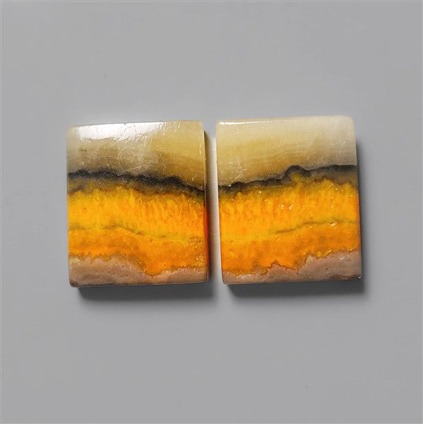 Bumble Bee Jasper
