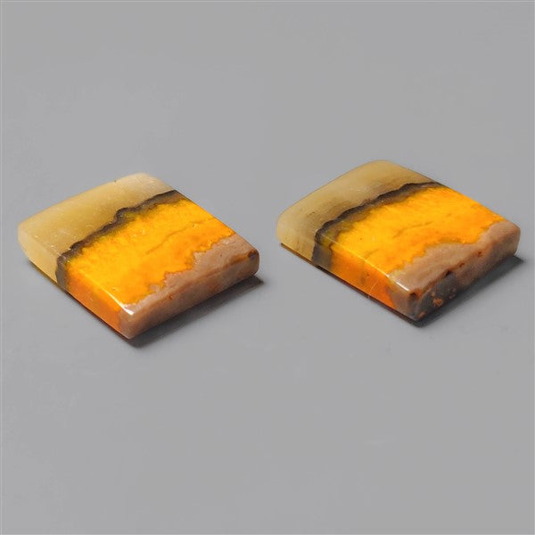 Bumble Bee Jasper