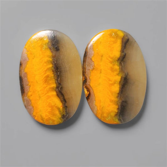 Bumble Bee Jasper