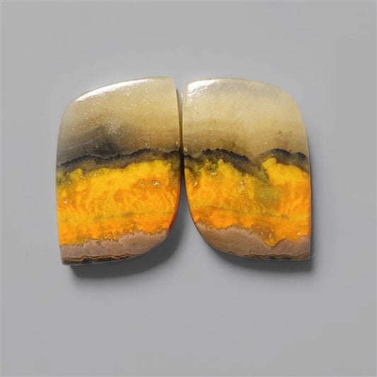 Bumble Bee Jasper