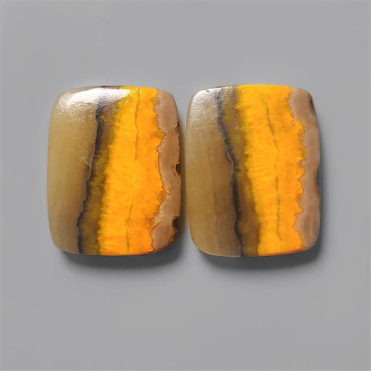 Bumble Bee Jasper