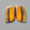 Bumble Bee Jasper