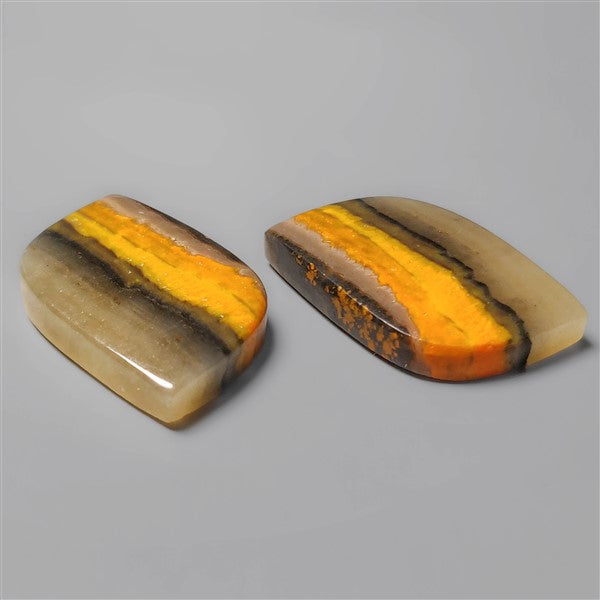 Bumble Bee Jasper