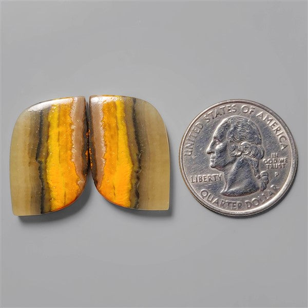 Bumble Bee Jasper
