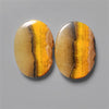Bumble Bee Jasper