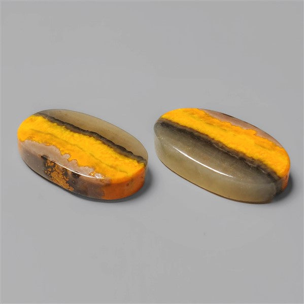 Bumble Bee Jasper