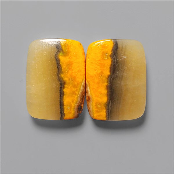 Bumble Bee Jasper