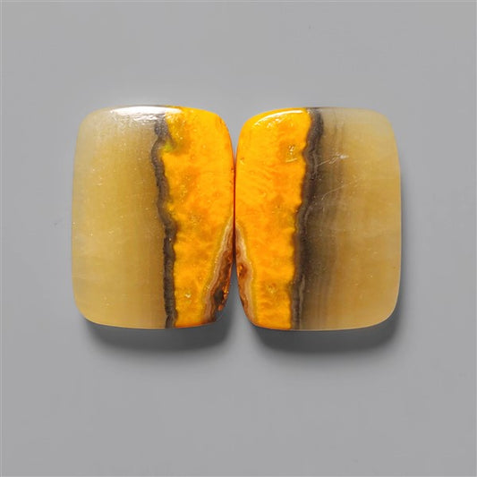 Bumble Bee Jasper