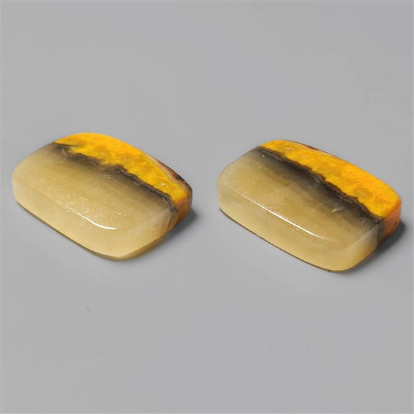 Bumble Bee Jasper