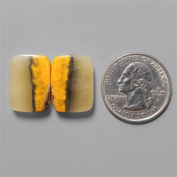 Bumble Bee Jasper