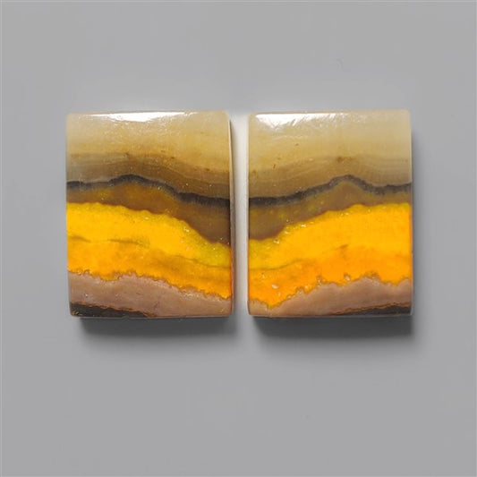 Bumble Bee Jasper
