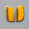 Bumble Bee Jasper