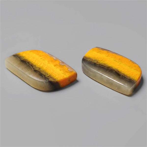 Bumble Bee Jasper