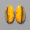 Bumble Bee Jasper