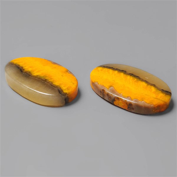Bumble Bee Jasper