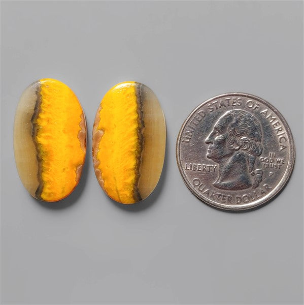 Bumble Bee Jasper