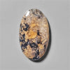 Agate|Dendritic Agate