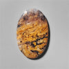 Agate|Dendritic Agate
