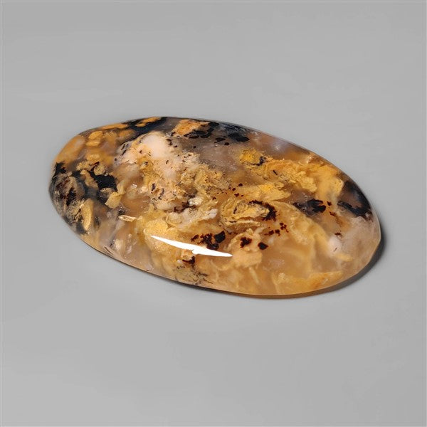 Agate|Dendritic Agate