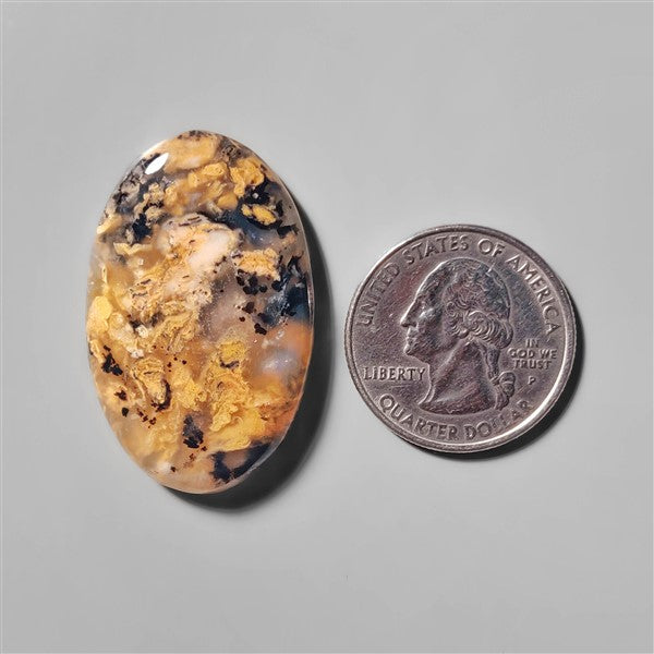 Agate|Dendritic Agate