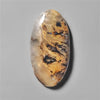 Agate|Dendritic Agate