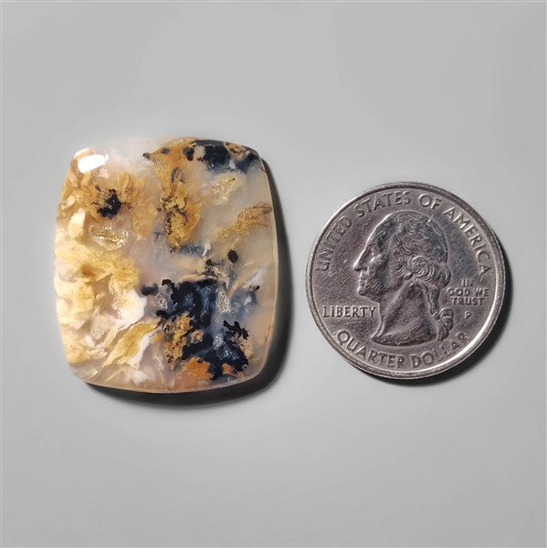 Agate|Dendritic Agate