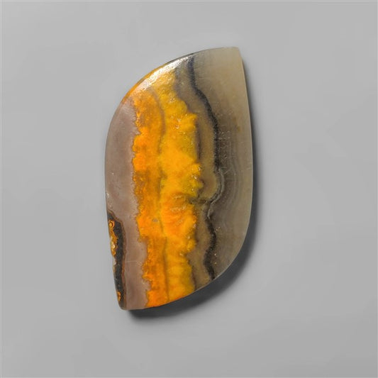 Bumble Bee Jasper