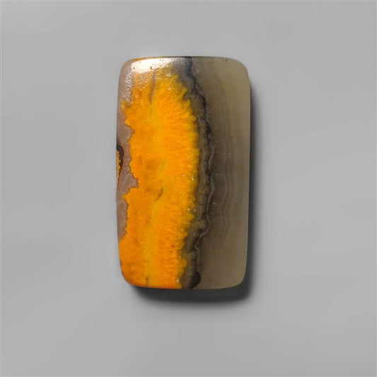 Bumble Bee Jasper