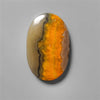Bumble Bee Jasper