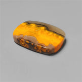 Bumble Bee Jasper