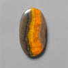 Bumble Bee Jasper