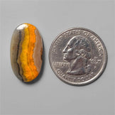 Bumble Bee Jasper