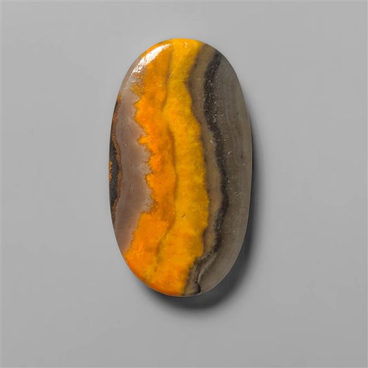 Bumble Bee Jasper
