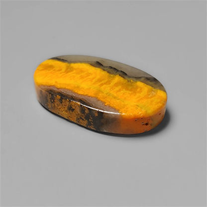 Bumble Bee Jasper