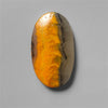 Bumble Bee Jasper