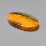 Bumble Bee Jasper