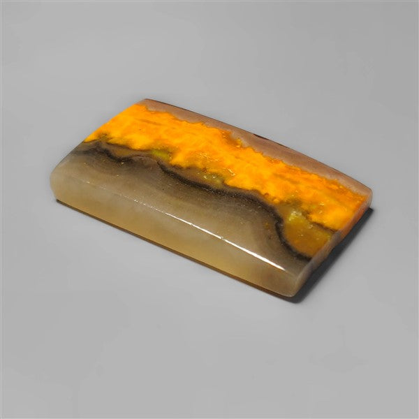 Bumble Bee Jasper