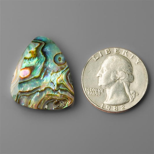 Abalone Shell|Shell