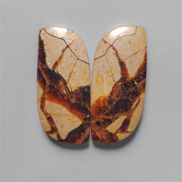 Septarian