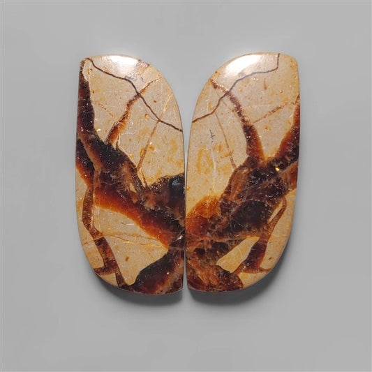 Septarian