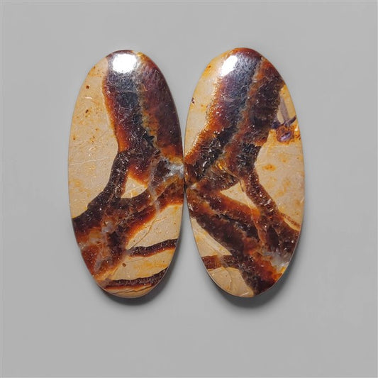 Septarian
