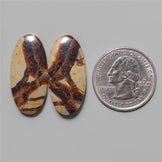 Septarian