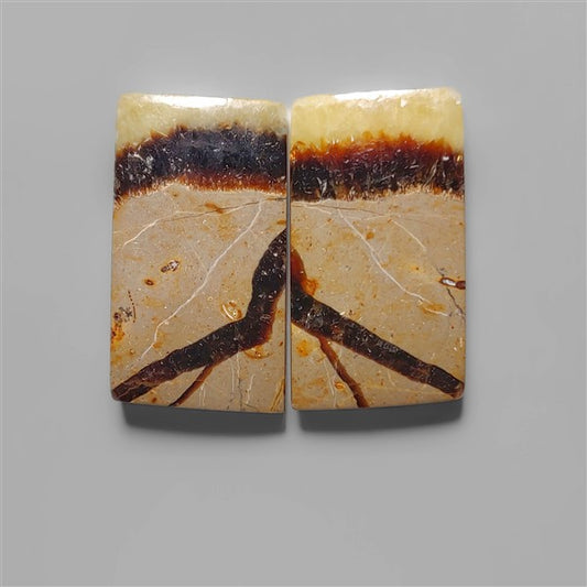 Septarian