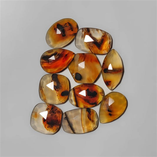 Agate|Montana Agate