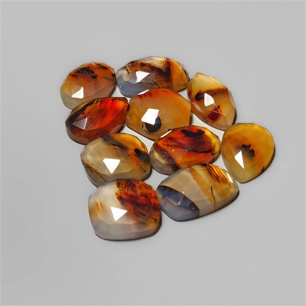 Agate|Montana Agate
