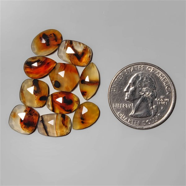 Agate|Montana Agate