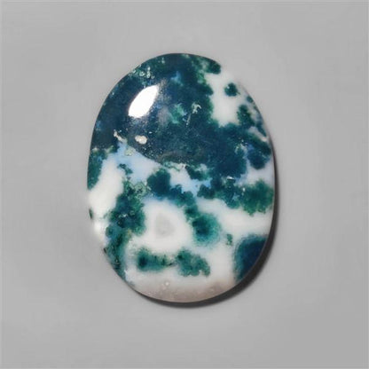 Agate|Tree Agate