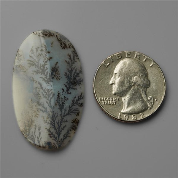 Agate|Scenic Agate